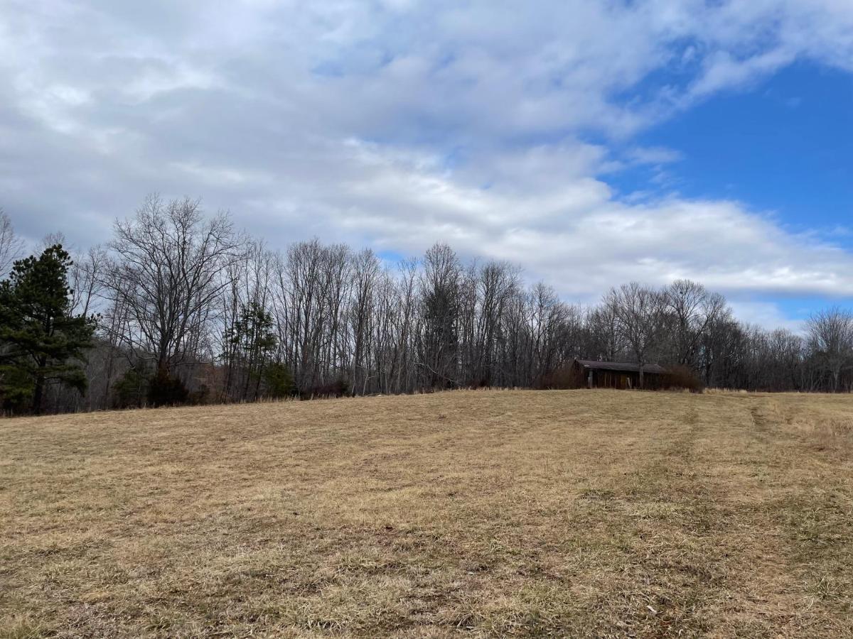 Giggling Creek Cottage - Bedjet! King Sized! Gazebo, 45 Acres, Arcades, Nintendo, More Henry Eksteriør bilde